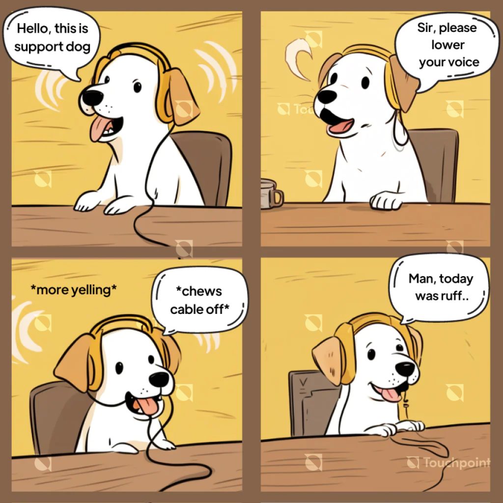 Successful Touchpoint customer service meme test